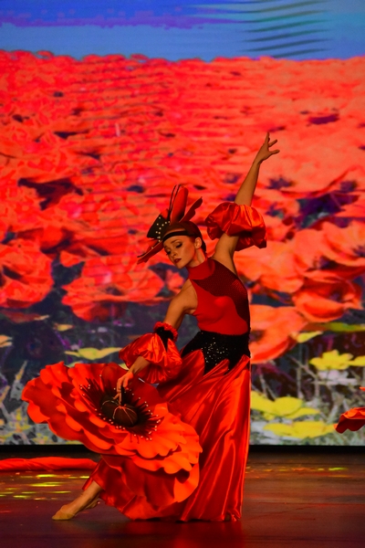 Wizard Of Oz at Casino Du Liban 